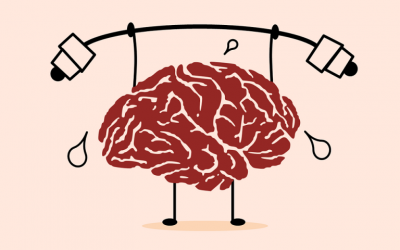 Il cervello in adolescenza